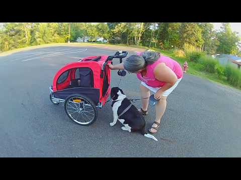 Aosom Pet Stroller and Bike Trailer