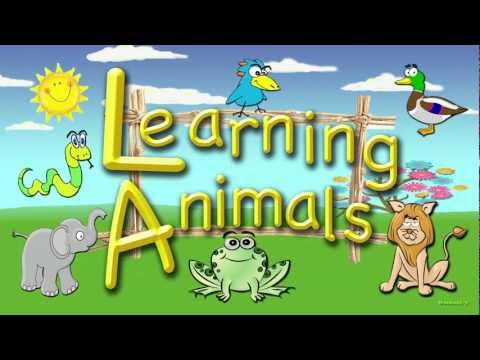 For Toddlers - Learning Animals, An Educational Video for Preschoolers