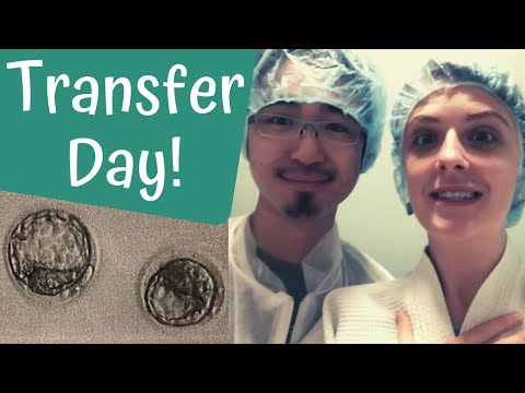 Frozen Embryo Transfer #2 with 6 Day Blastocyst | Low AMH IVF 2019