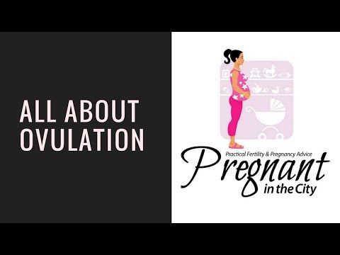 All About Ovulation: How to Figure Out IF and WHEN you are ovulating.