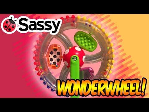 Wonder Wheel - A Colorful Spinning Toy for Babies from Sassy.