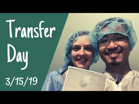 Frozen Embryo Transfer Day + Unexpected 6 Day Embryo Results